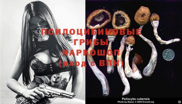 дживик Абинск