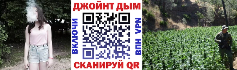 Каннабис семена  дарнет шоп  Котельнич 